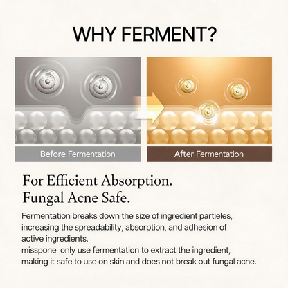 Korean Fermented Bean Essence – Reveal Smoother, Brighter Looking Skin