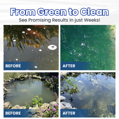 ✨ From Green to Clean Overnight! |⏱️ Crystal Clear in 24 Hours! | Smileasego Pro Formula