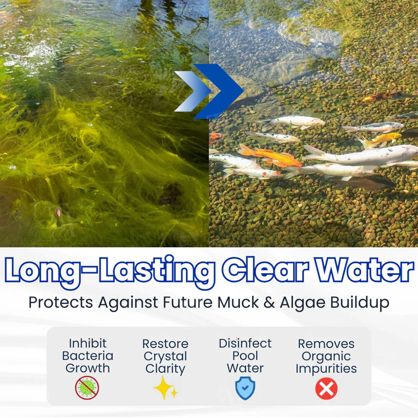 ✨ From Green to Clean Overnight! |⏱️ Crystal Clear in 24 Hours! | Smileasego Pro Formula