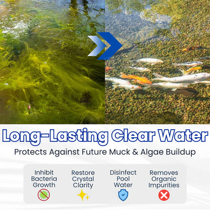 ✨ From Green to Clean Overnight! |⏱️ Crystal Clear in 24 Hours! | Smileasego Pro Formula