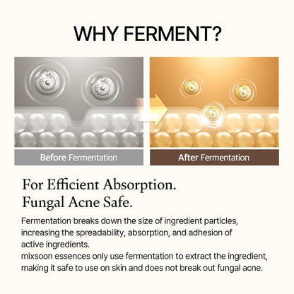 Korean Fermented Bean Essence – Reveal Smoother, Brighter Looking Skin